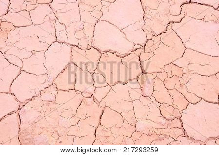 Drylands are defined by a scarcity of water, evaporation from surfaces and transpiration by plants.