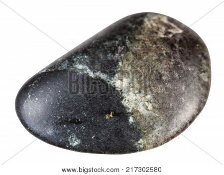macro shooting of natural mineral rock specimen - polished olivinite stone isolated on white background from Kovdor region, Kola Peninsula, Russia