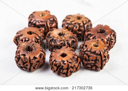 beads from natural seeds of Rudraksha tree on gray concrete background
