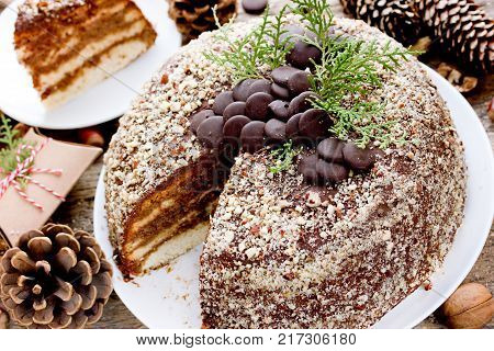 Chocolate hazelnut cake for Christmas holidays. Homemade layered biscuit cake with chocolate cream decorated with chocolate chips and nut crumbs