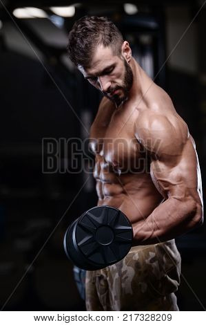 Sexy Strong Bodybuilder Athletic Men Pumping Up Muscles With Dumbbells