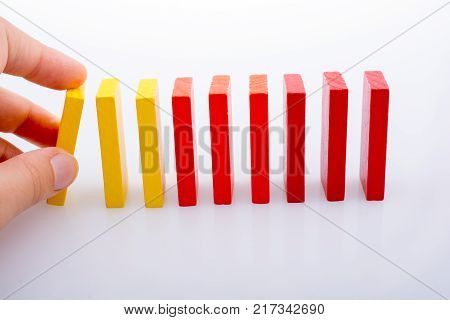 Hand holding color dominoes on a white background