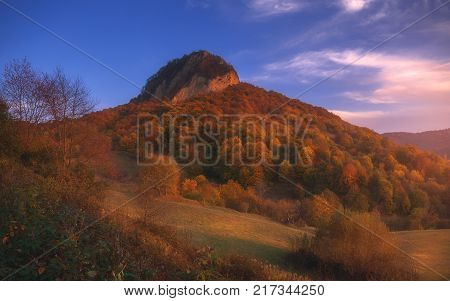 beautiful mountain autumn landscape with colorful forest