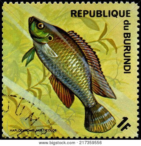 REPUBLIC OF BURUNDI - CIRCA 1974: a postage stamp, printed in Burundi, shows a fish Egyptian Mouthbreeder (Haplochromis multicolor)