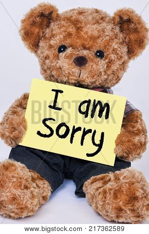 Cute teddy bear holding a yellow sign that reads I am Sorry isolated on a white background