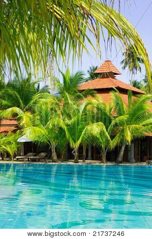 Swimming Pool With Coconut Palm Trees, Vertical