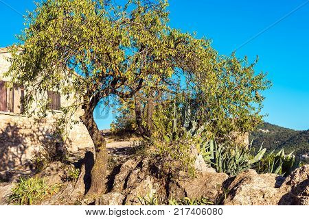 Rocky Landscape In Siurana De Prades Tarragona Spain. Copy Space For Text