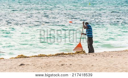 A Man Is Cleaning On The Beach In Punta Cana La Altagracia Dominican Republic. Copy Space For Text