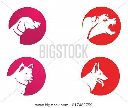 Dog Animals Logo Pets Shop Template Icons App