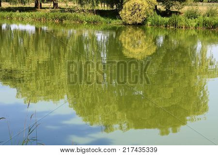Reflection of bush and trees in river Southern Buh in near Vinnytsia, Ukraine in the summer