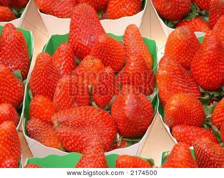 Fragole