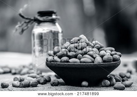[arachis Hypogaea] Raw Groundnut In A Clay Bowl With Groundnut Oil On A Gunny Background.;