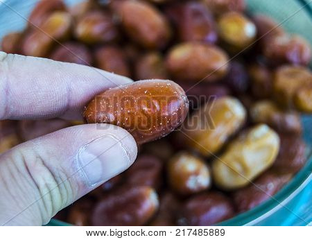 Elaeagnus fruit, ripe fruit natural Elaeagnus, Elaeagnus fruit of the medicinal fruit, ripe fruit Elaeagnus natural, healing ...