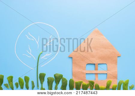 First Flowers In Spring