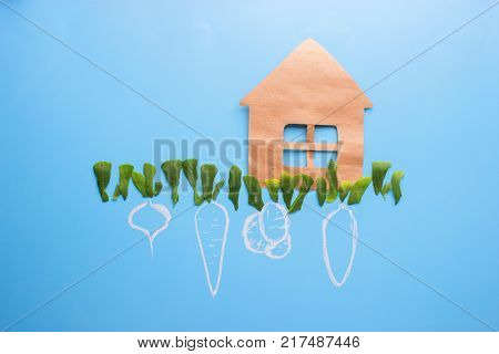 First Flowers In Spring