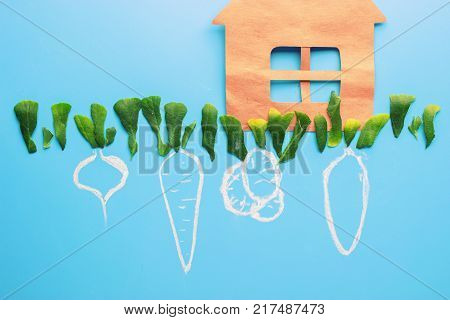 First Flowers In Spring