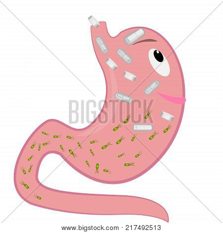 A Stomack taking medicines and  Helicobacter pylori leaving. vector illustration in cartoon style