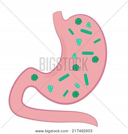 A Stomack full of microbs vector illustration
