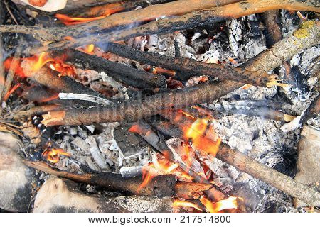 Bonfire in the forest ready for barbeque