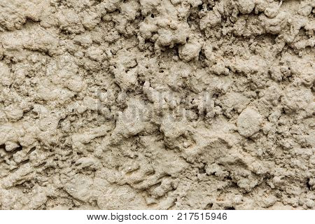 A background of cement-strewn stucco on the wall.