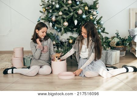 Two girls are sitting by the fir-trees and looking at the gifts. New Year holidays. The time to realize dreams. A gift in the box. New Year's Symbol