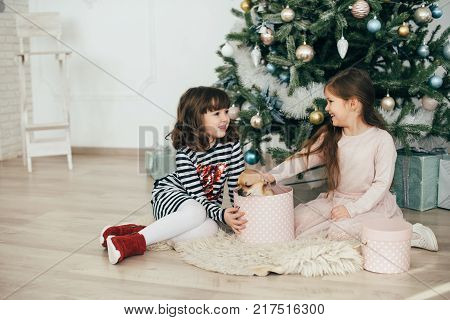 Two girls are sitting by the fir-trees and looking at the gifts. New Year holidays. The time to realize dreams. A gift in the box. New Year\'s Symbol