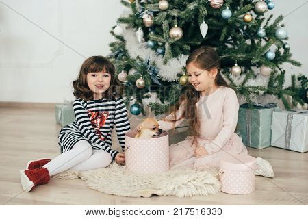 Two girls are sitting by the fir-trees and looking at the gifts. New Year holidays. The time to realize dreams. A gift in the box. New Year\'s Symbol