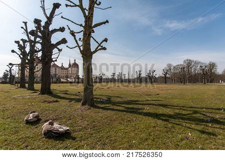 Castle Moritzburg near Dresden in Saxonia in Germany