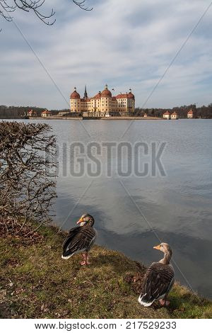 Castle Moritzburg near Dresden in Saxonia in Germany