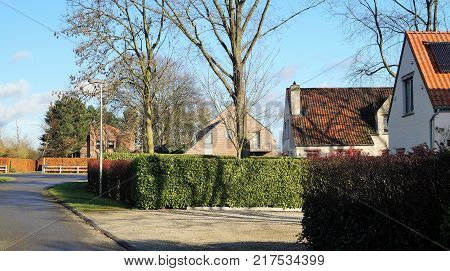 Neighborhood houses in Belgium. A tree-lined modern residential street on a cul-de-sac in a typical upscale neighborhood in Belgium with houses in Flemish style