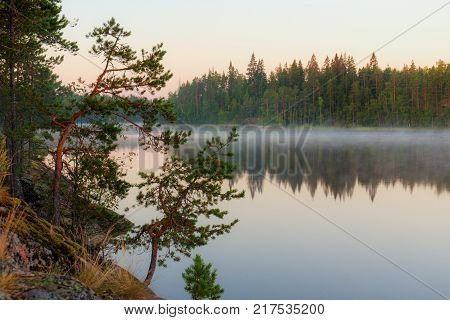 Morning landscape with fog on a forest lake