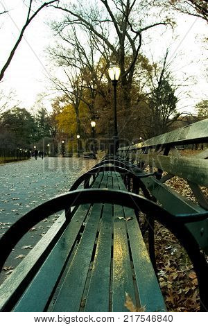 Beautiful colored images in and around New York City and Central Park