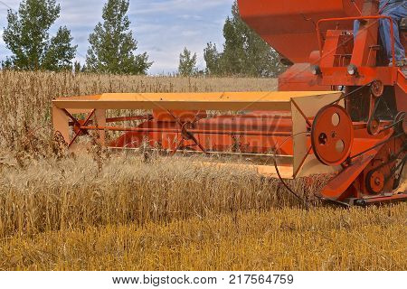 An old self propelled combine is in the process of harvesting wheat.