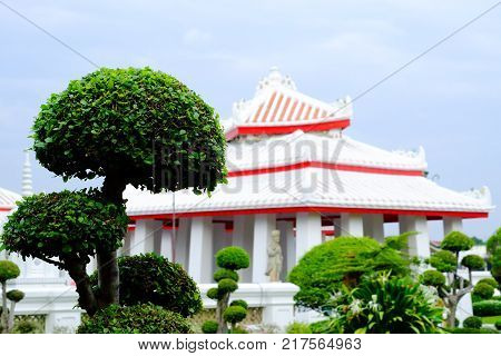 Green tropical tree with leaf branch in the outdoor garden snd blur chinese temple pavilion at Wat Arun in Bangkok,Thailand
