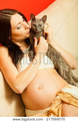 Parenthood waiting for baby toxoplasmosis problem concept. Adult woman showing her big pregnant belly holding cat.