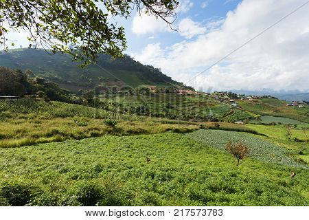 scenery views of the mon jam mountain at monjam chiangmai thailand.