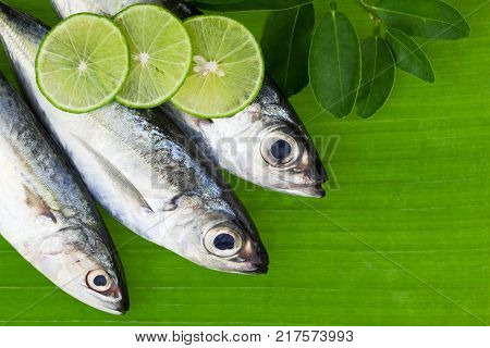 fish with lemon and leafs on banana leaves backgroundconcept cooking background