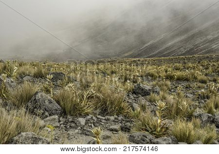 Panoramic view of Volcano Nevada de Toluca with lakes inside crater in Mexico