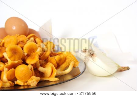 Cantharellus cibarius