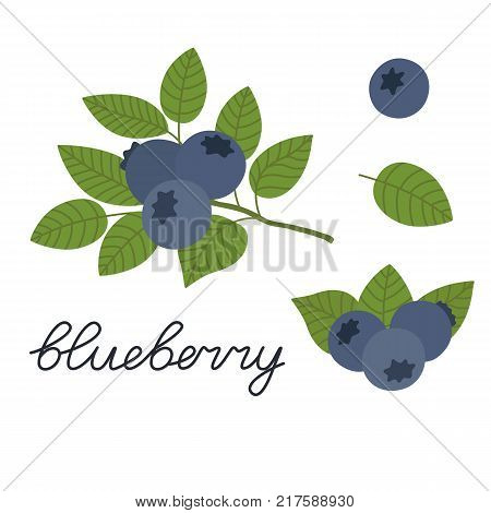 Ripe blueberries on a white background. Berries with stems and green leaves. Vector illustration isolated on white background in flat style. Set blueberry