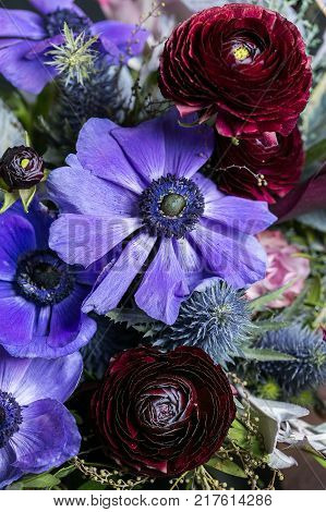 decor, design, nature concept. harmonious combination of absolutely different in coloures and shapes flowers such as light lilac anemons, like symbols of tenderness, and passionate maroon battercups