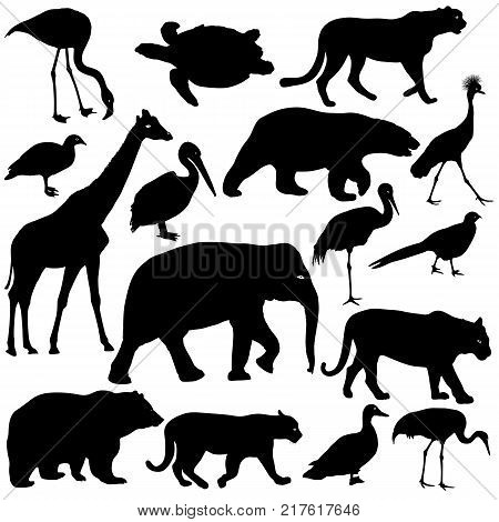 Silhouette elephant tiger bear giraffe flamingo pelican goose on a white background.