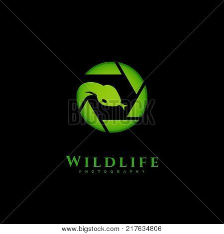 Wildlife photography logo template design. Vector illustration.