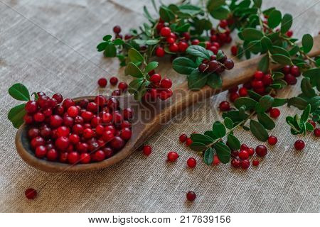 Berries of red lingonberry in a wooden spoon along with twigs on a table.
