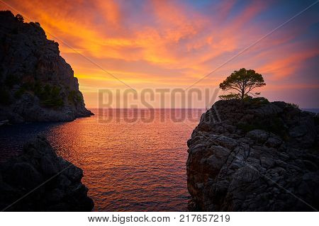 Epic sunset over the sea with rocks and a tree