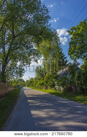 Rural dirt road with tire tracks leading straight through lush green pastures and farmland in a receding view