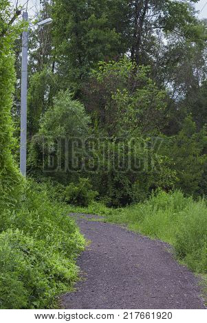 Rural dirt road with tire tracks leading straight through lush green pastures and farmland in a receding view