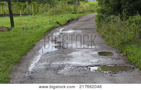 Rural dirt road with tire tracks leading straight through lush green pastures and farmland in a receding view