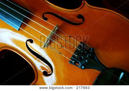Violino