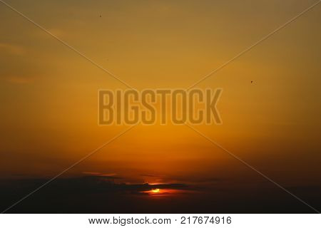 Beautiful sunset birds sky clear sky evening